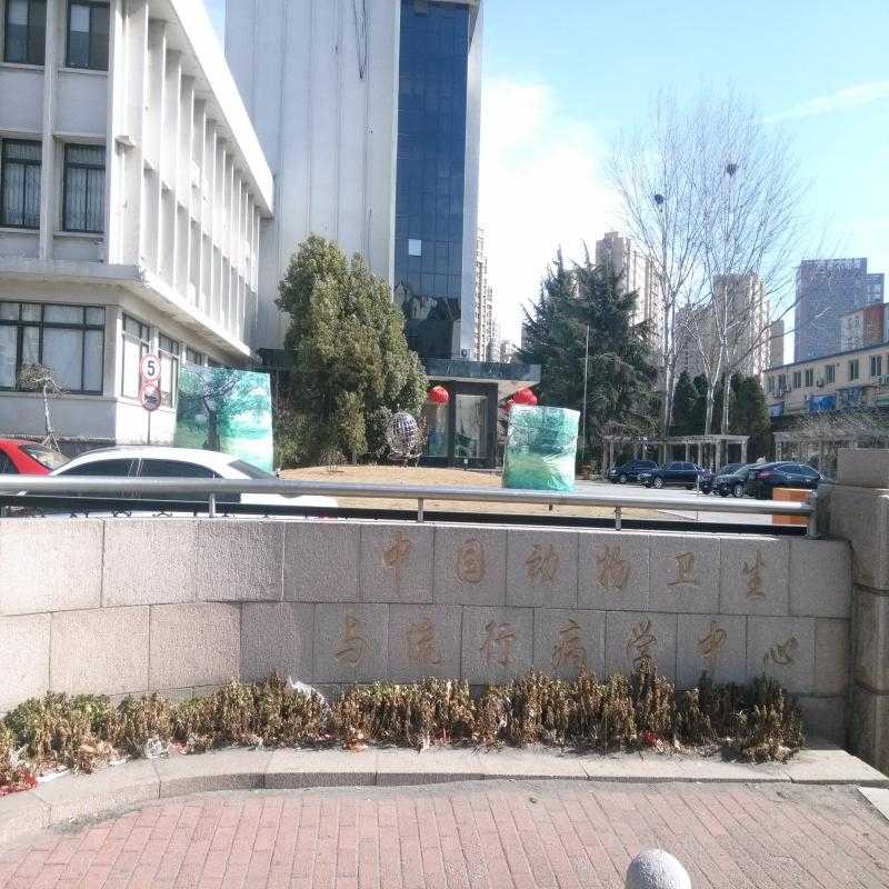 91视频APP下载——雅麗